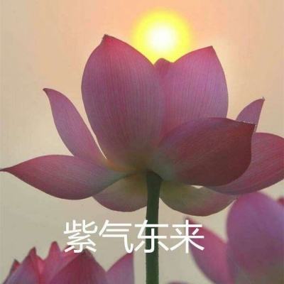 别动我学姐手游果盘版下载